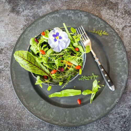 Junger Wildkräutersalat