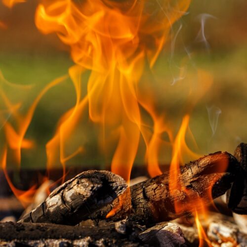 Leo's Spanferkel vom Grill
